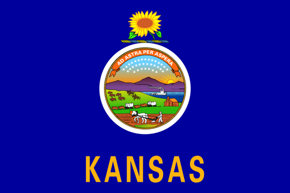 Virtual Kansas Advocacy Town Hall Meeting & Training (Session 2)